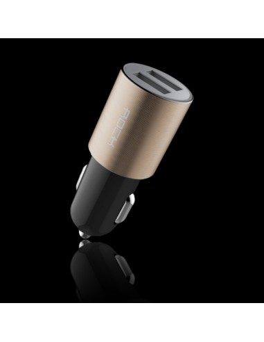 Chargeur allume-cigare universel avec 2 entrées